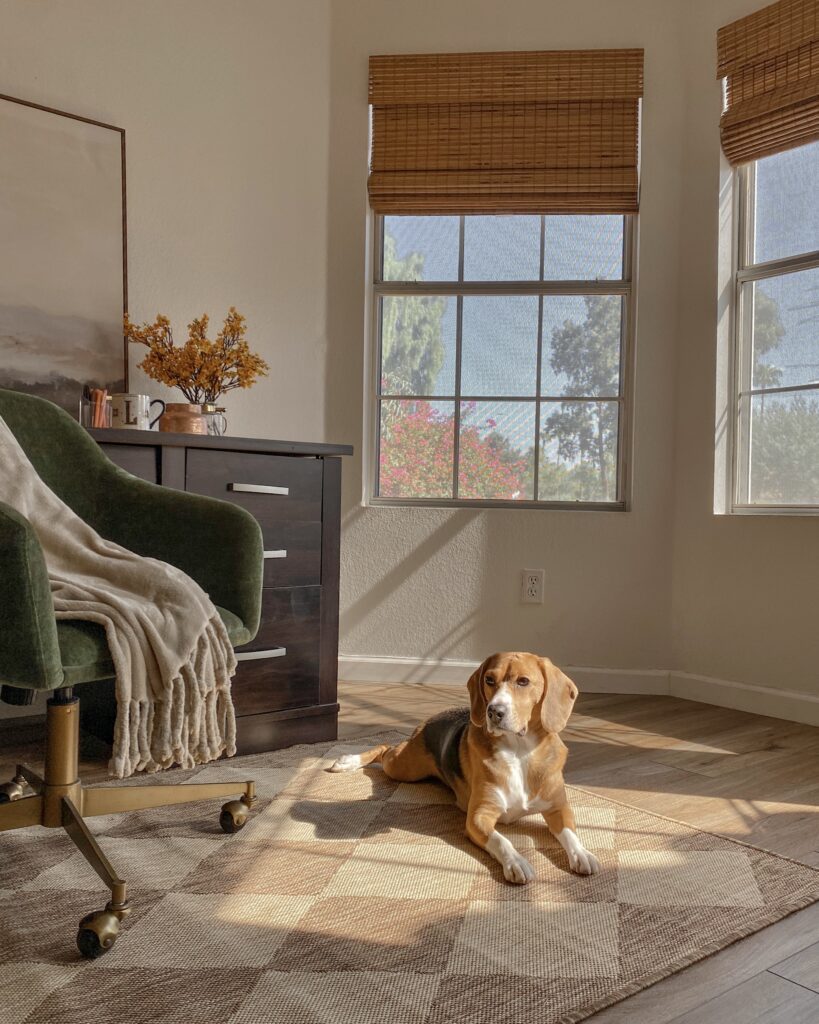 checkerboard area rug. checkered rug. home office decor. living room rug. checkered rug living room.