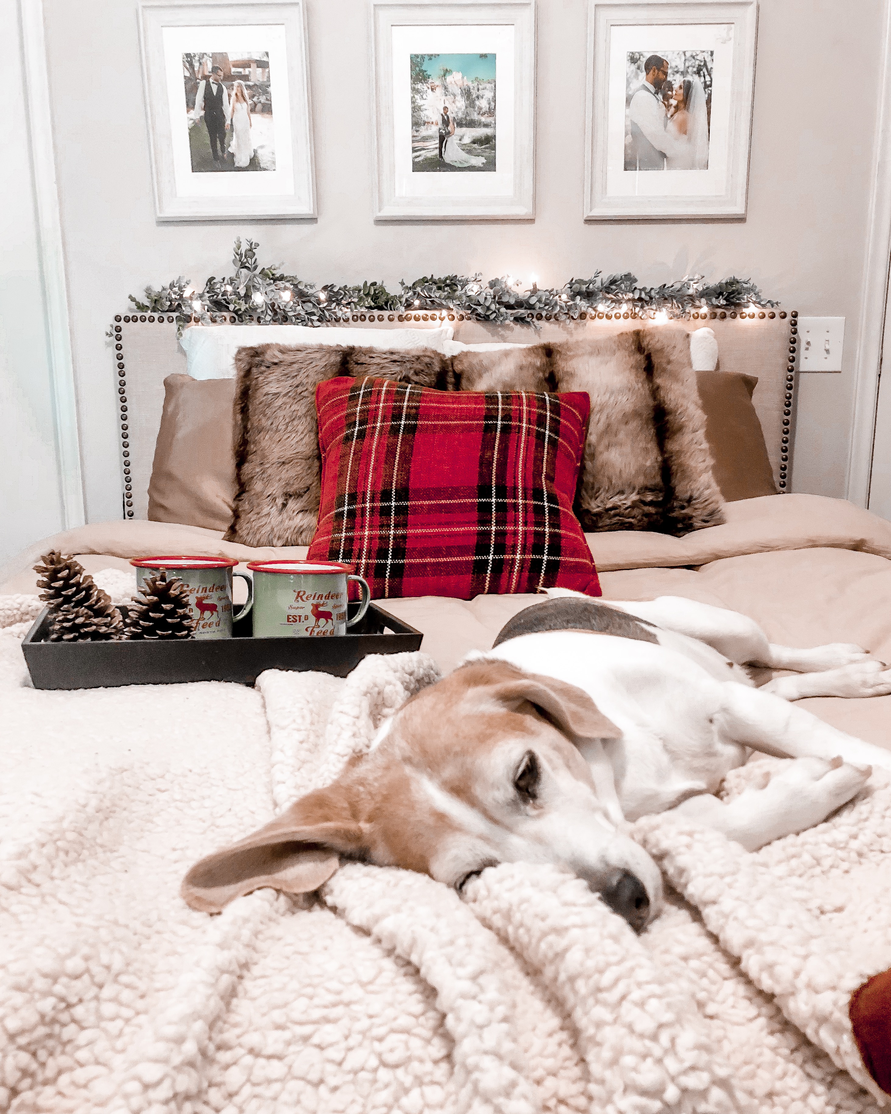 christmas bed, cozy bed, holiday bed, christmas bedroom, faux fur pillows, plaid bed, beagle, white rustic frames, neutral bedding, garland headboard