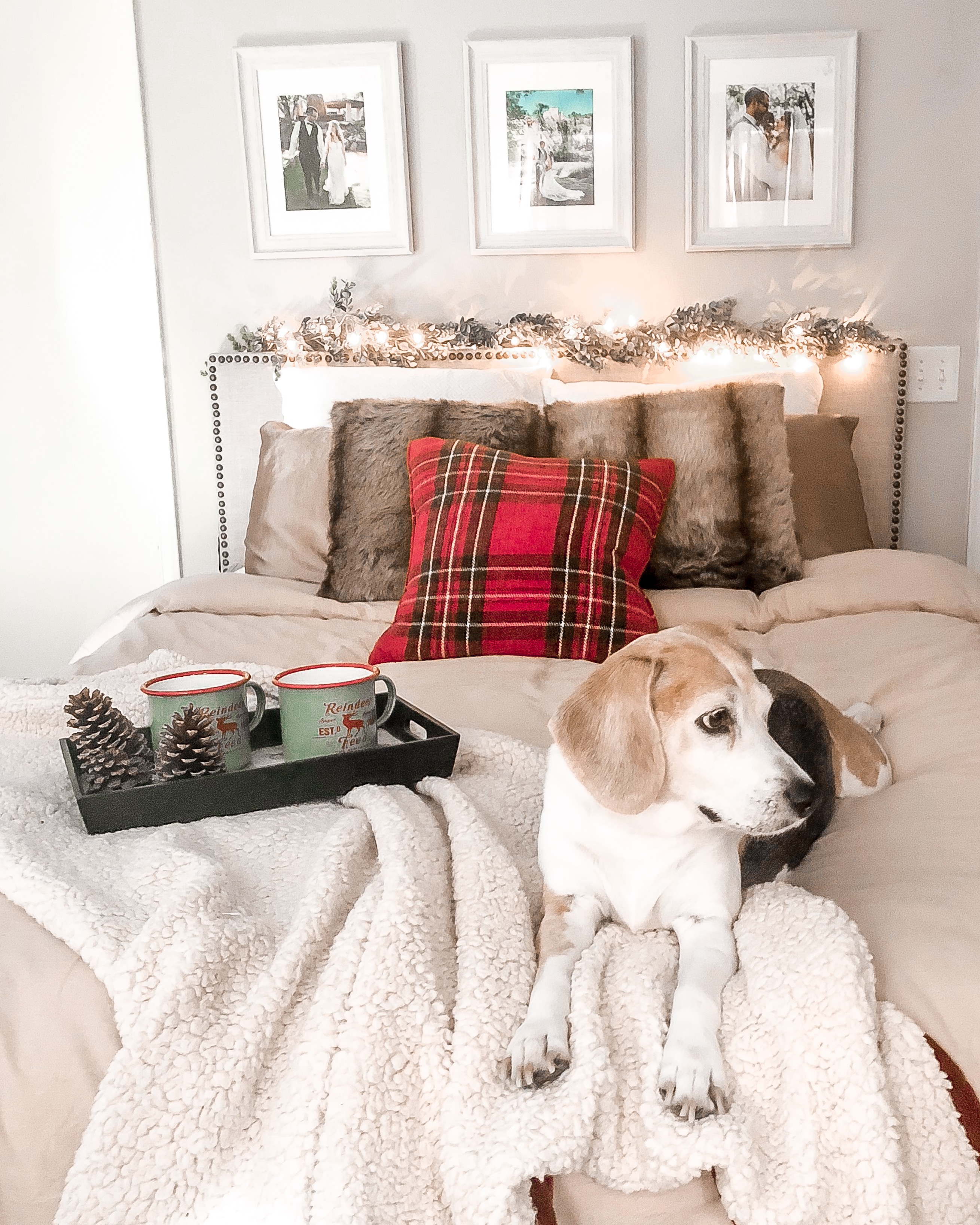 christmas bed, cozy bed, holiday bed, christmas bedroom, faux fur pillows, plaid bed, beagle, white rustic frames, neutral bedding, garland headboard