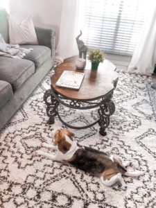 black and white Moroccan rug, area rug, black and white boho rug, bohemian area rugs, small living room decor, modern boho decor, white airy decor, apartment living room decor, townhome living room decor, townhouse decor