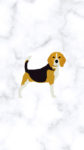 beagle instagram highlight cover