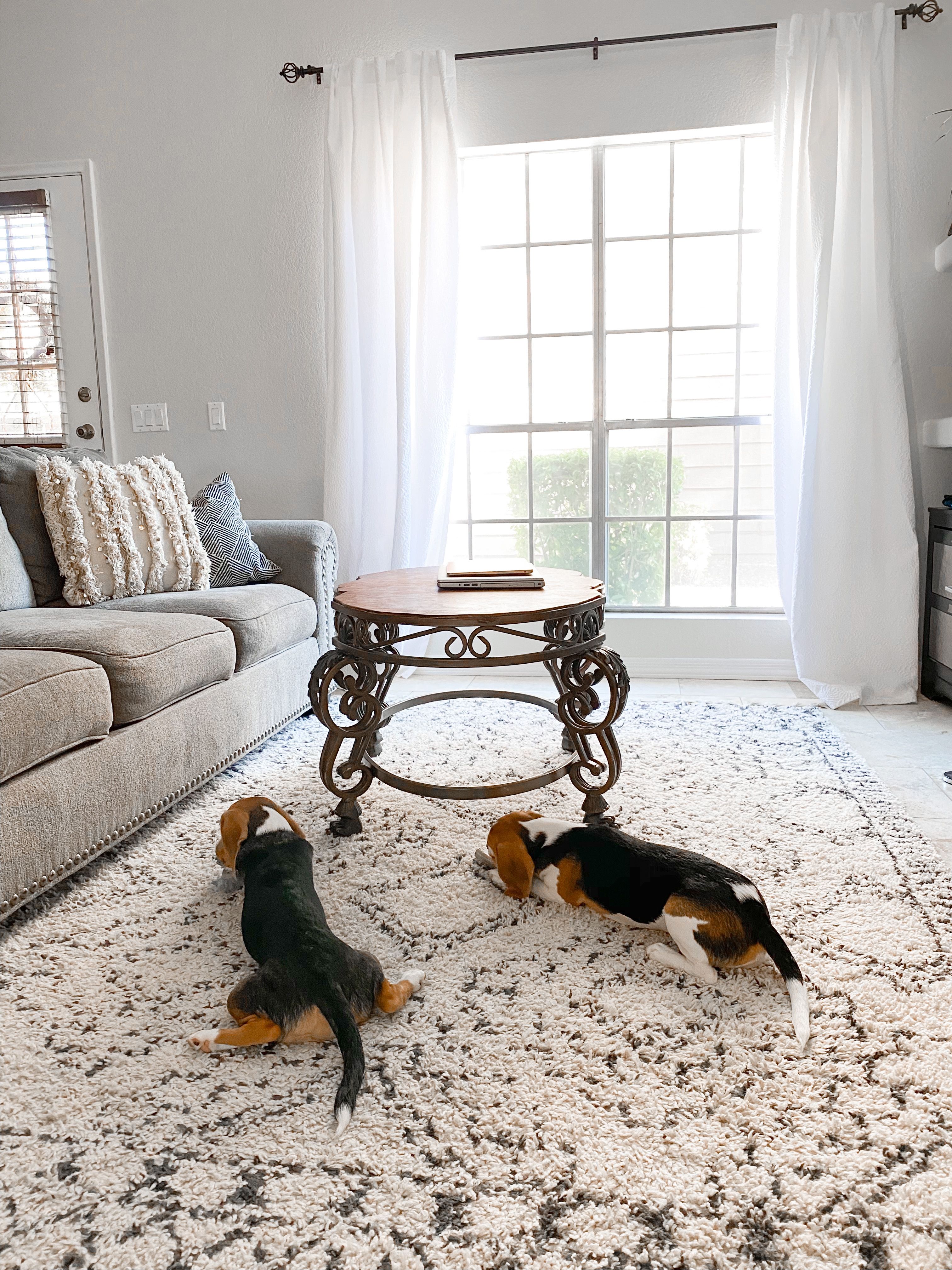 black and white boho area rug, moroccan rug, living room rug, boho living room, living room decor