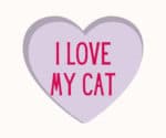 I love my cat valentines day widget