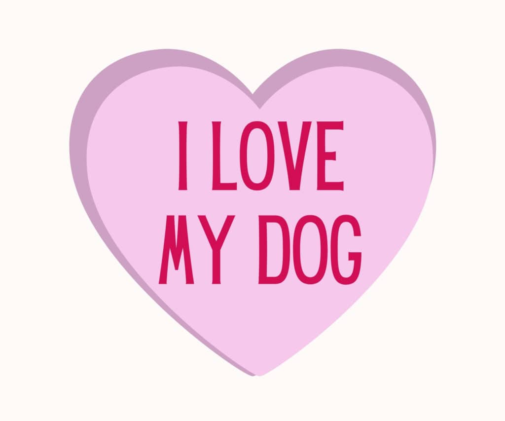 i love my dog widget