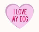 i love my dog widget