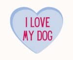 i love my dog valentines day widget