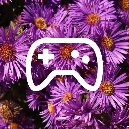 Free Spring Aesthetic App Icons for your Phone and Devices guitar & lace