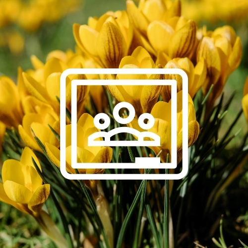 Free Spring Aesthetic App Icons for your Phone and Devices guitar & lace