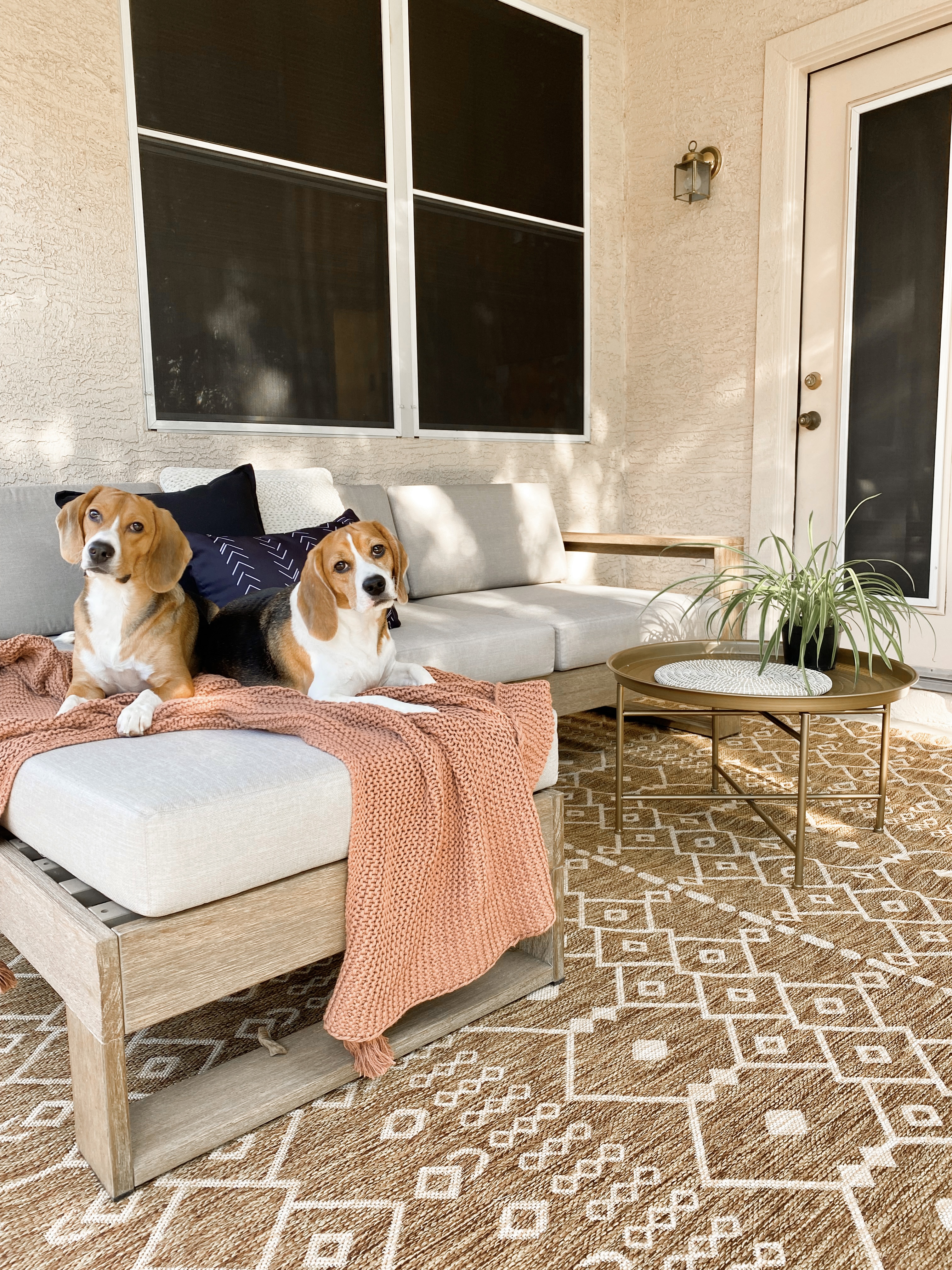 amazon patio decor