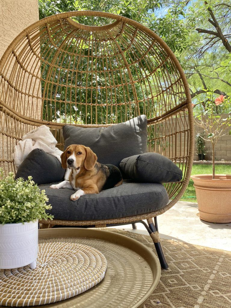 target egg chair review. patio furniture. patio egg chair. southport egg chair. target egg chair vs walmart egg chair