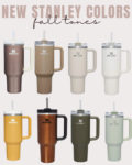 stanley-cups-brown tiktok viral stanley cup. fall stanley colors. stanley 40z tumbler. stanley 40z vs 30z. brown stanley cup. taupe stanley cup.