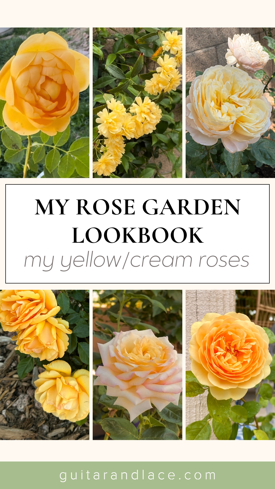 Rose Garden Lookbook: all of my Happy Yellow Roses! | guitar & lace