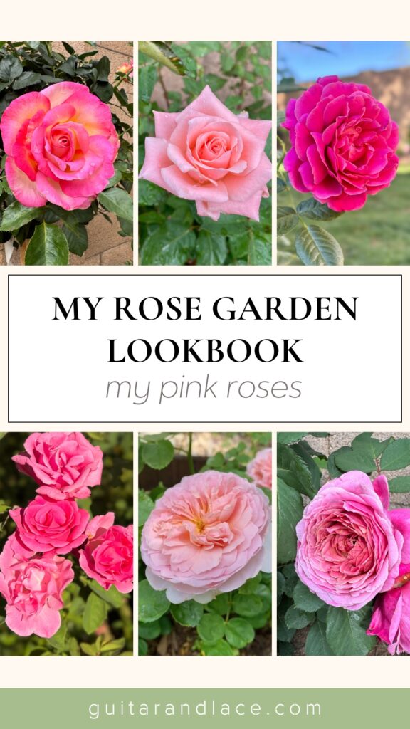 pink roses. pink rose garden lookbook. david austin roses. pink rose garden ideas. cottage garden ideas.