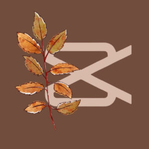 Capcut fall app icons
