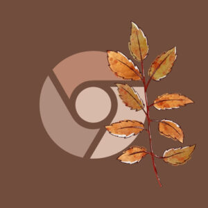 Chrome fall app icons