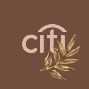 Citibank fall app icons