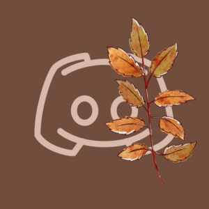 Discord fall app icons