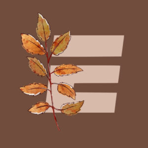 Espn fall app icons