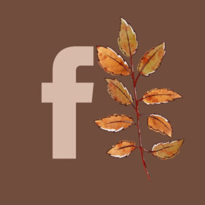 Facebook fall app icons