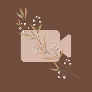 Facetime fall app icons