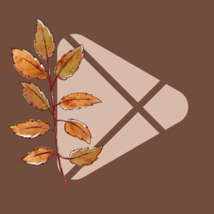 Google Play fall app icons