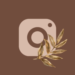 Instagram fall app icons
