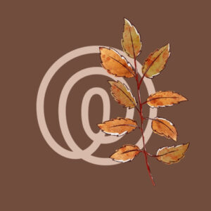 Life 360 fall app icons