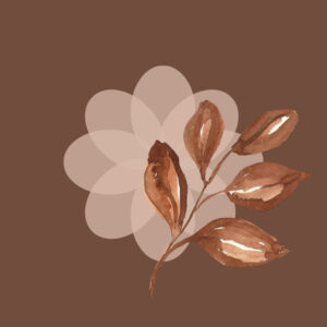 Photos fall app icons