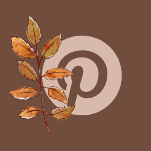 Pinterest fall app icons