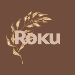 Roku fall app icons