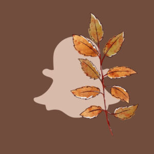 Snapchat fall app icons