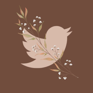Twitter fall app icons