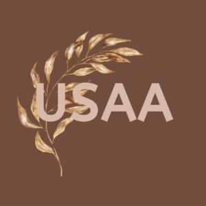 USAA fall app icons
