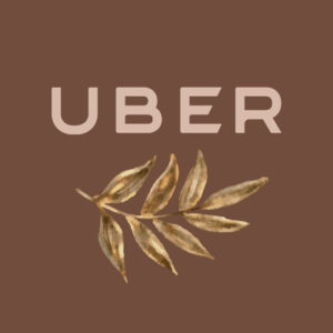 Uber fall app icons