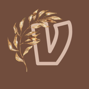 Venmo fall app icons