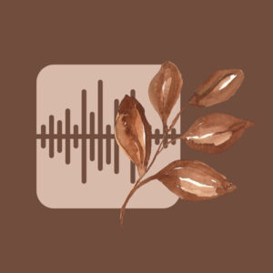 Voice Memo fall app icons