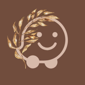 Waze fall app icons