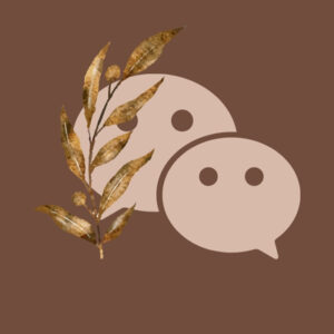 WeChat fall app icons