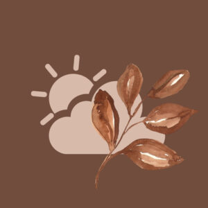 Weather fall app icons
