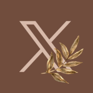 X twitter fall app icons
