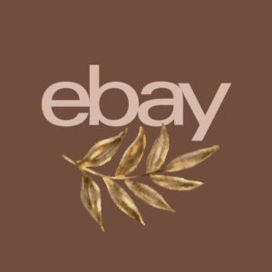 ebay fall app icons