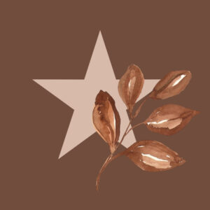 iTunes Store fall app icons