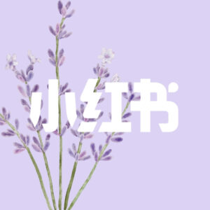 REDnote 小红书国际版