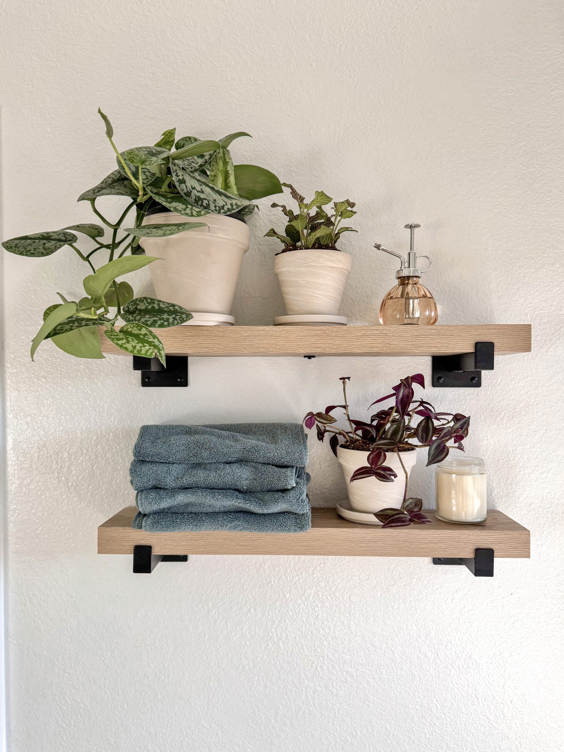 Bathroom Wall Shelf for Plants – with Lowe’s