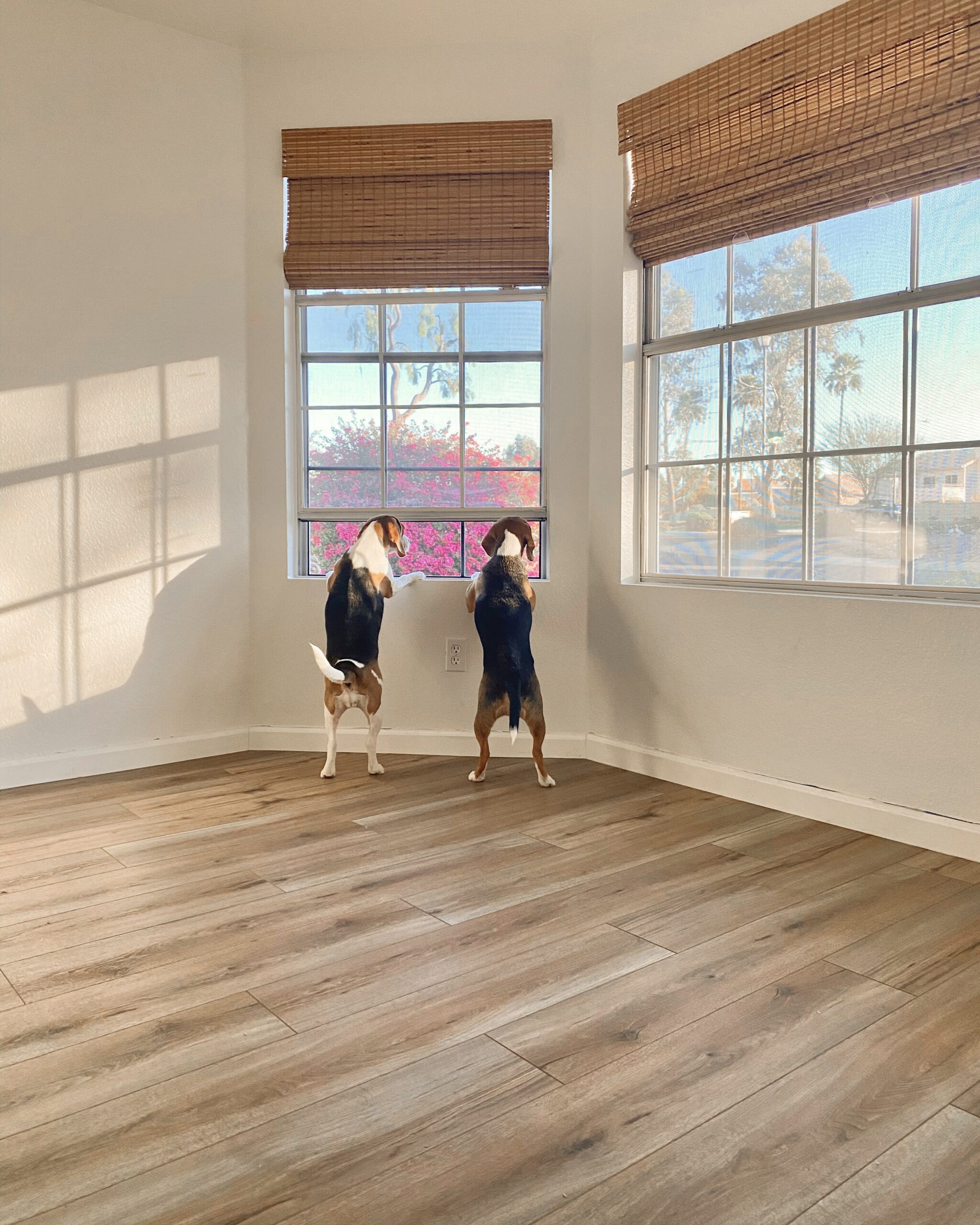 Our Wood Look Luxury Vinyl Plank Flooring – 5 years later!