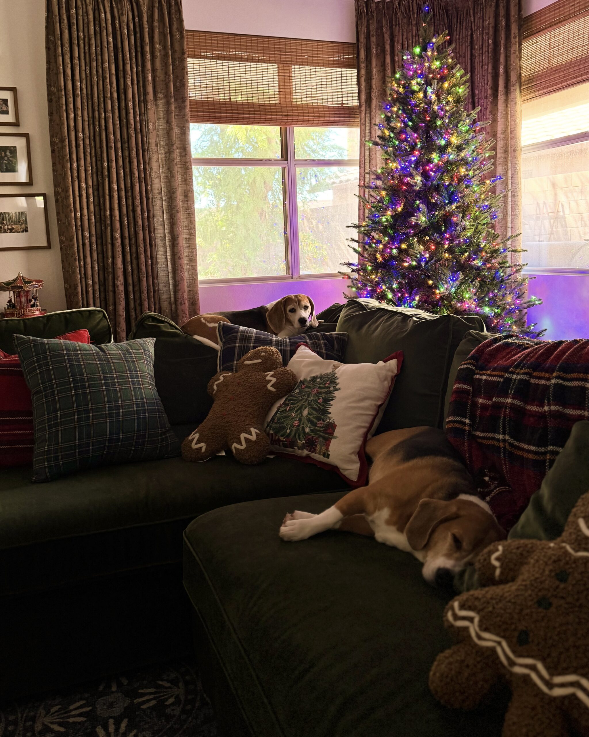 warm multicolor twinkly led lights christmas tree. lowe's christmas tree.