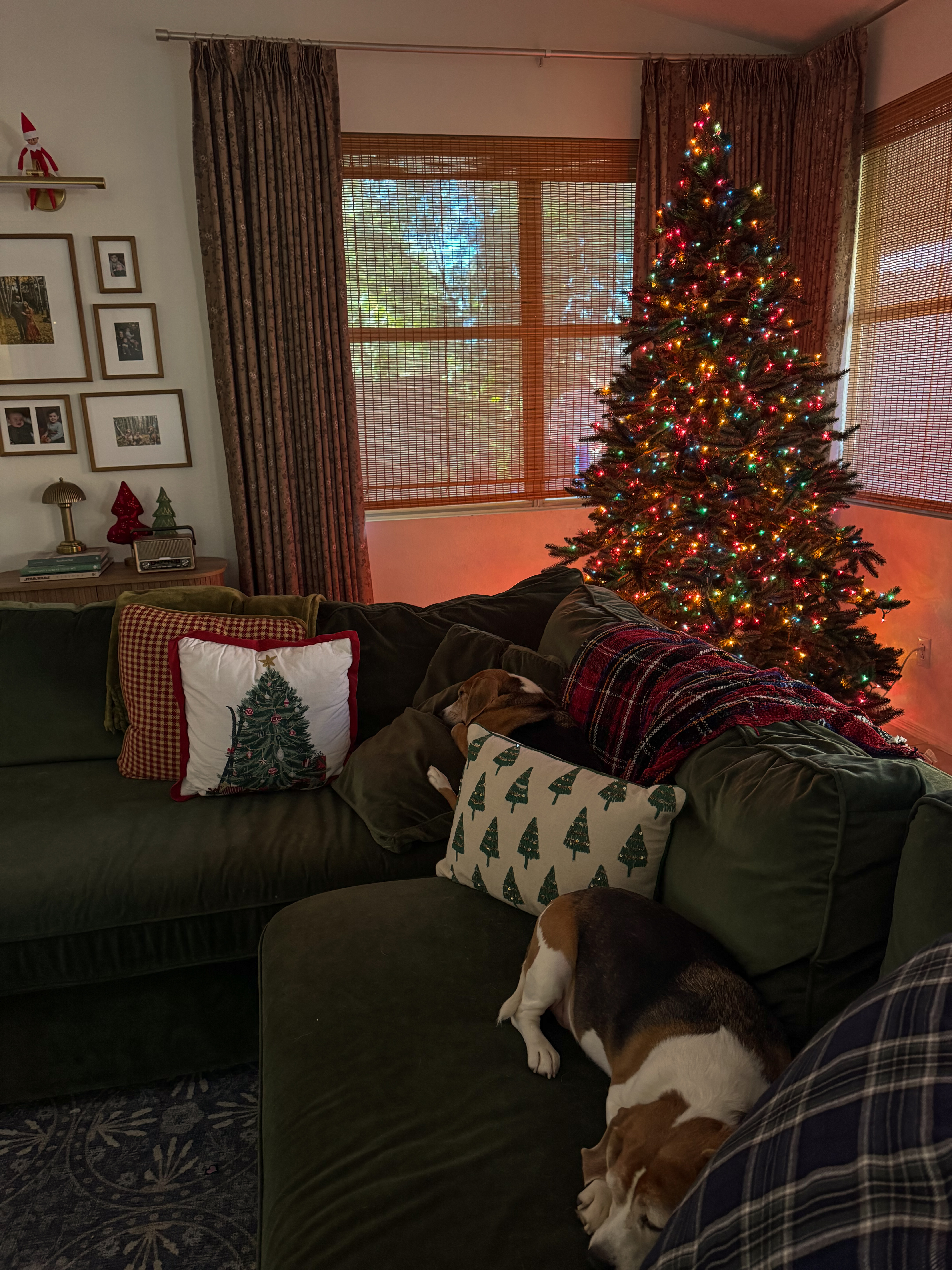 christmas tree with multi color incandescent lights