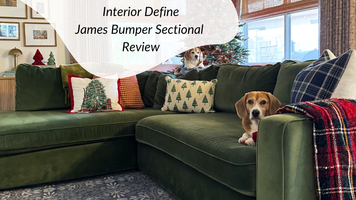 Interior Define Sofa Review – toddler & pet friendly fabric!