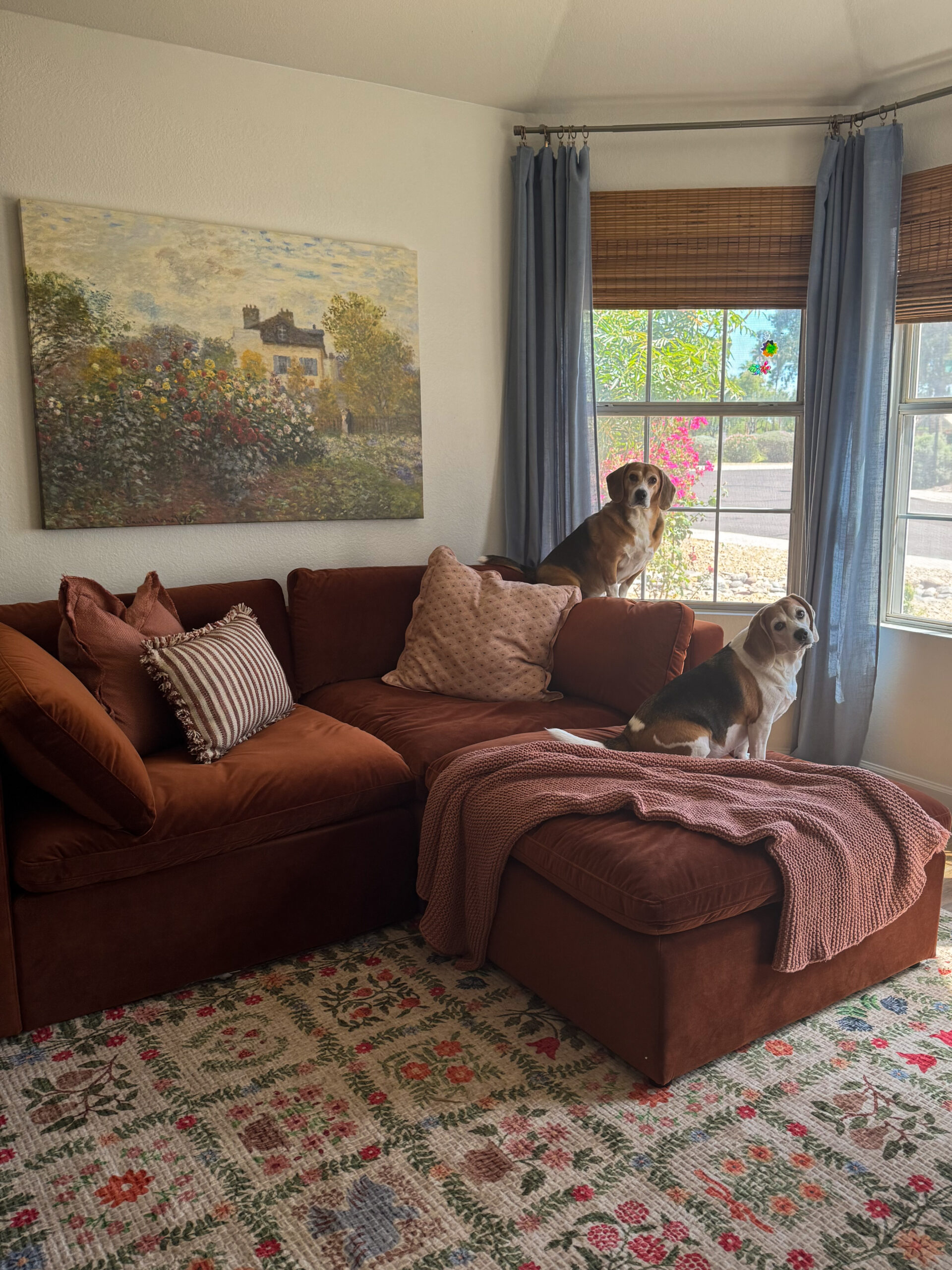 bellamia sofa review. bellamia bella couch. bellamia bella sofa. rust red velvet couch. red velvet sofa. burnt orange velvet couches. burnt orange sofa. rust red sofa.
