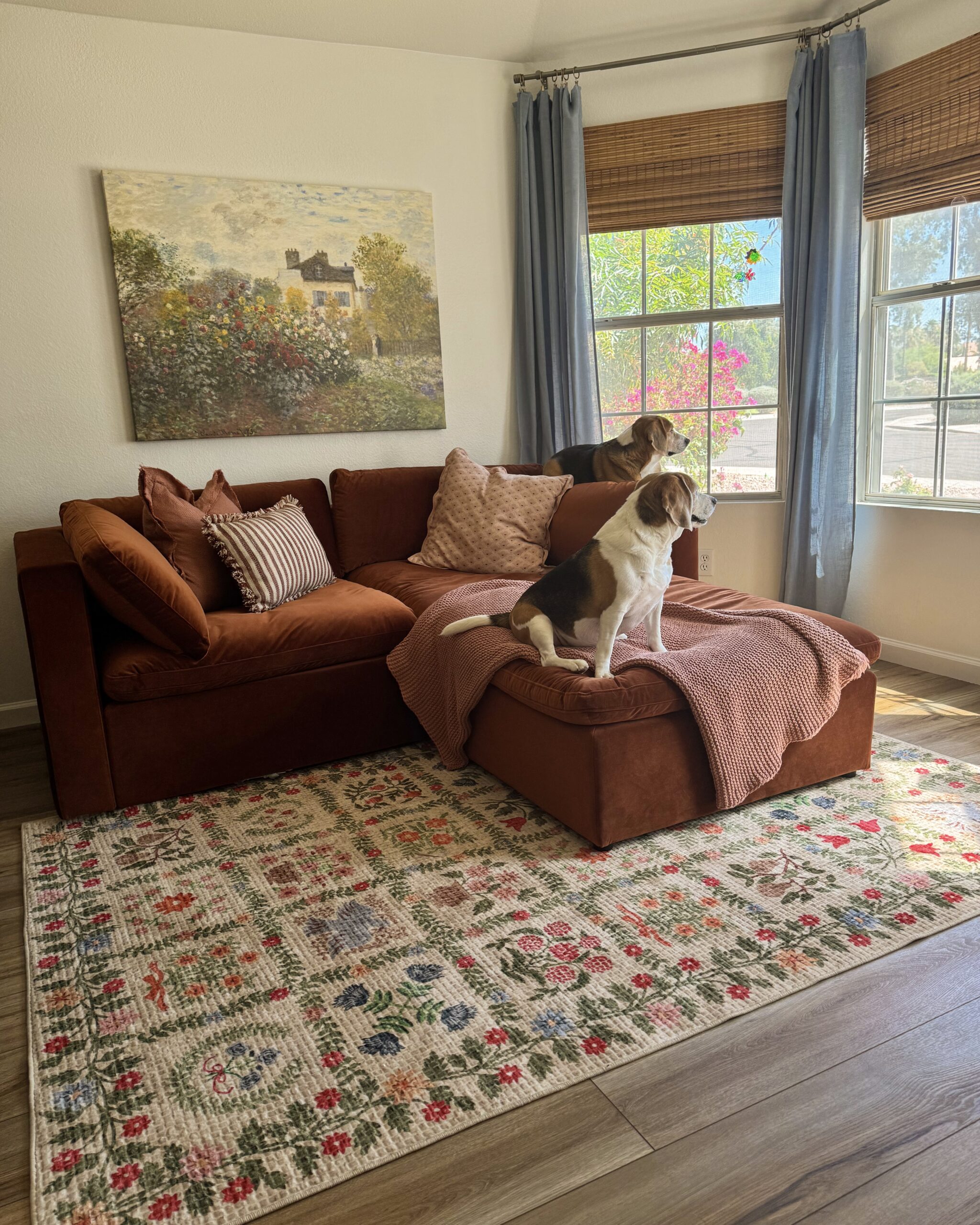 bellamia sofa review. bellamia bella couch. bellamia bella sofa. rust red velvet couch. red velvet sofa. burnt orange velvet couches. burnt orange sofa. rust red sofa.